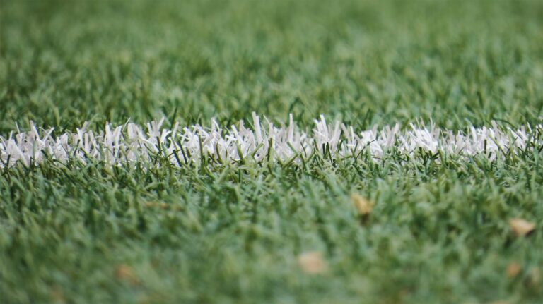 AI in Sports Analytics: Browns’ Turf Choice Drives Growth